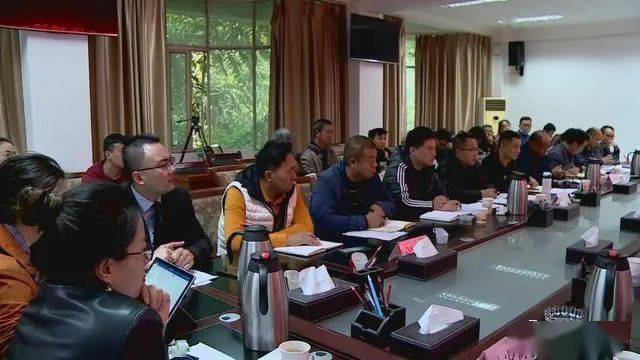 德昌最新新聞，擁抱自然，心靈寧靜之旅啟程