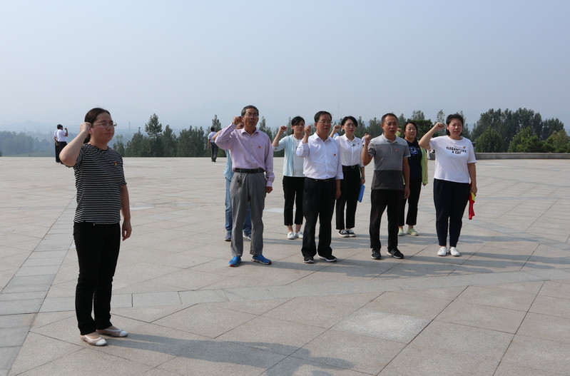 肥城房產最新動態(tài)，市場走勢、熱門區(qū)域與案例分析