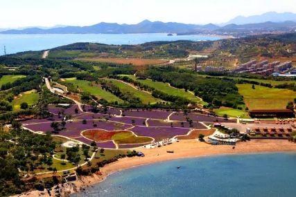 心悅海島探險攻略，最新任務指南與探險體驗