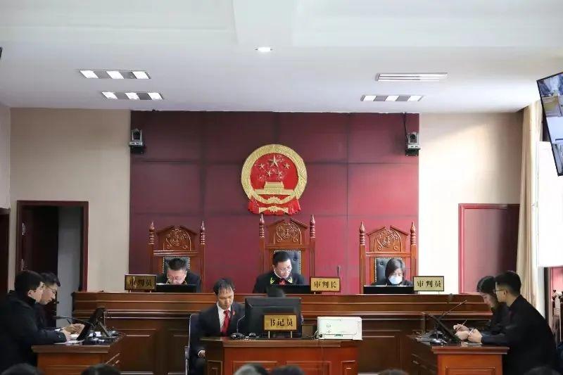 偏關(guān)最新案件深度解析，揭示真相，關(guān)注社會(huì)公正與公平