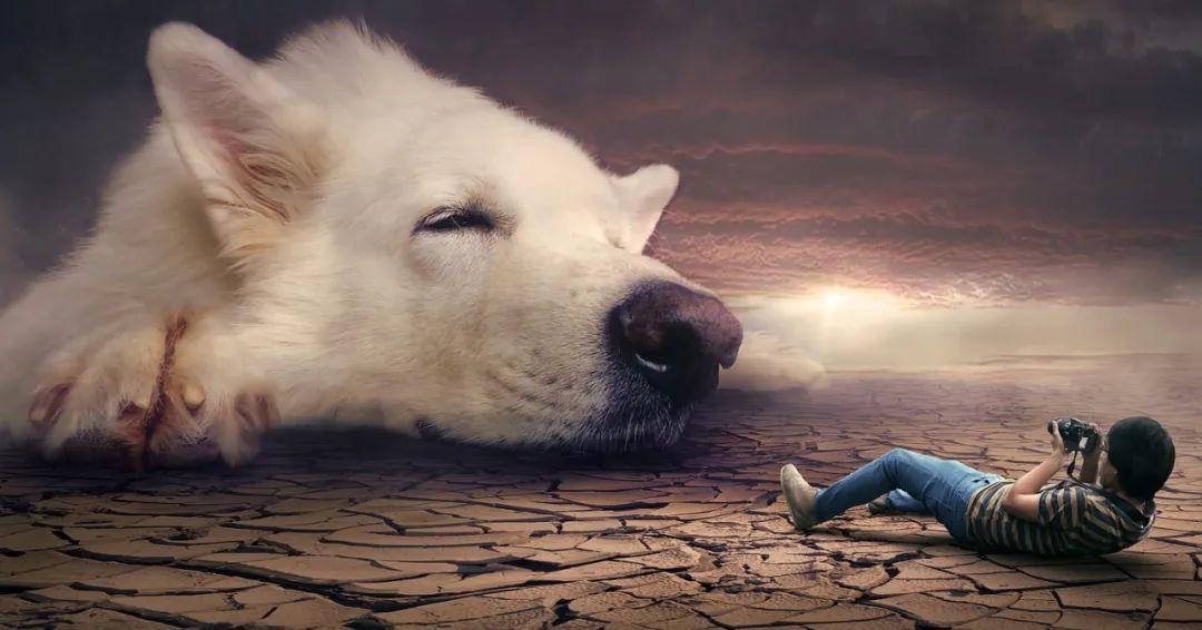 夢(mèng)境最新研究揭秘，探索人類(lèi)夢(mèng)境的奧秘