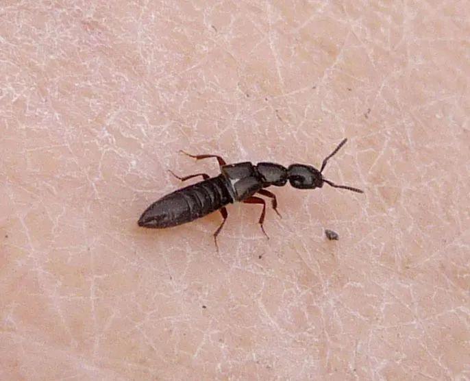 高效應(yīng)對(duì)問(wèn)題關(guān)鍵策略，最新處理方法詳解