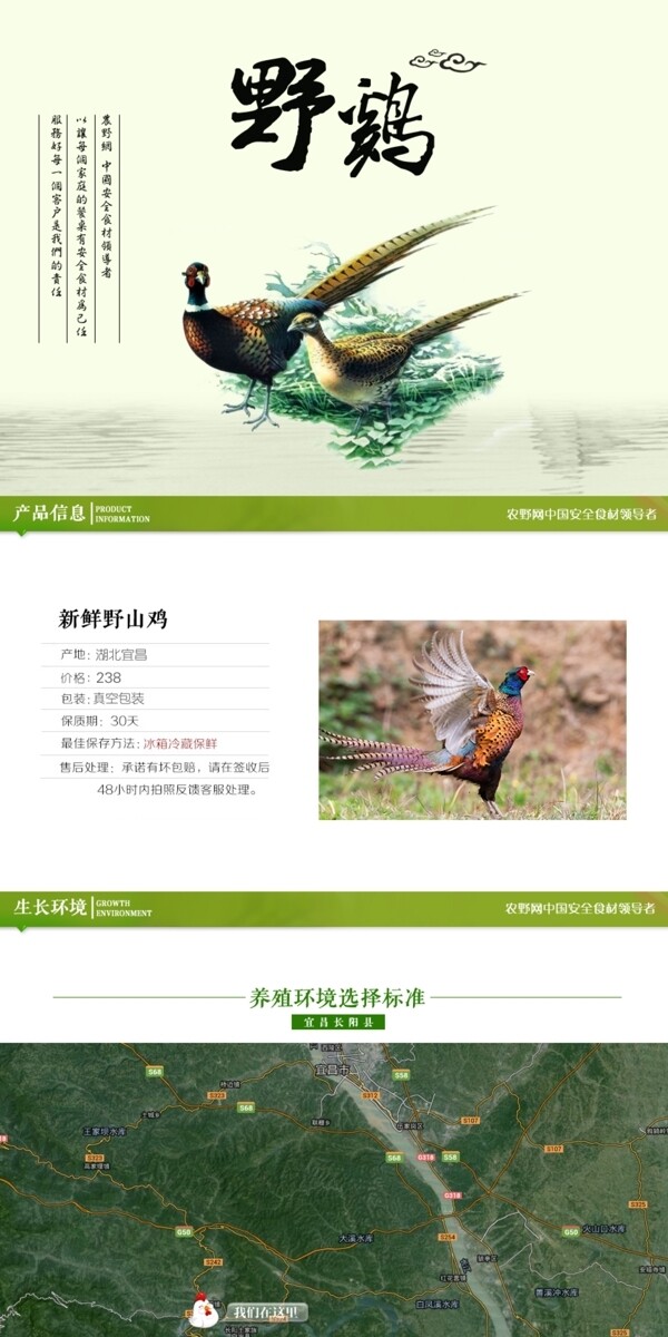 深度剖析，最新山雞的背景、事件與地位概述