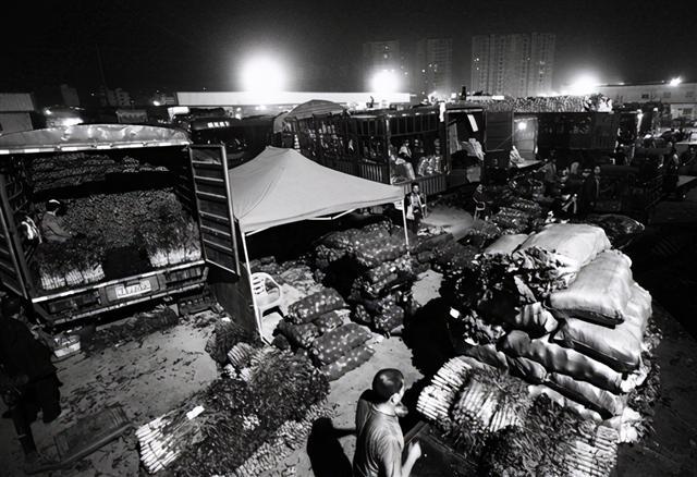 掌握新技能與完成任務(wù)，最新趨勢(shì)下的步驟指南