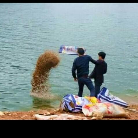 科學(xué)釣魚(yú)最新探索，學(xué)習(xí)與實(shí)踐的成就感之旅