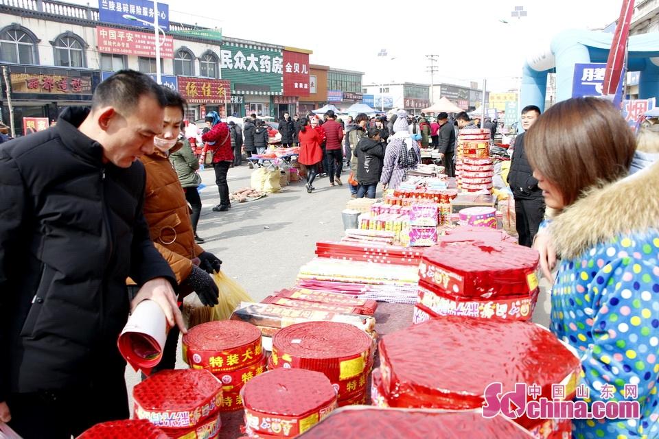 淘元素最新，淘淘的奇妙冒險(xiǎn)之旅與友情的溫暖體驗(yàn)