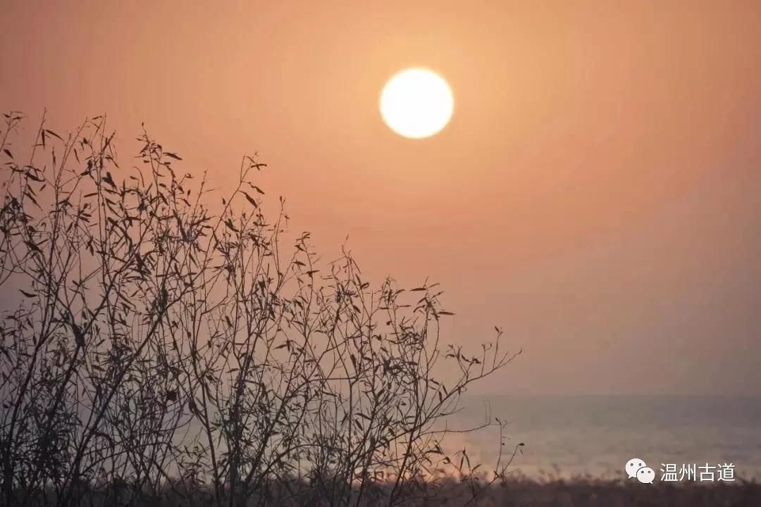 最新瘟疫詩(shī)詞，時(shí)代之聲與人文關(guān)懷的交融展現(xiàn)