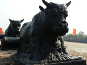 鐵牛視頻最新精彩呈現(xiàn)，領(lǐng)略與眾不同的世界！