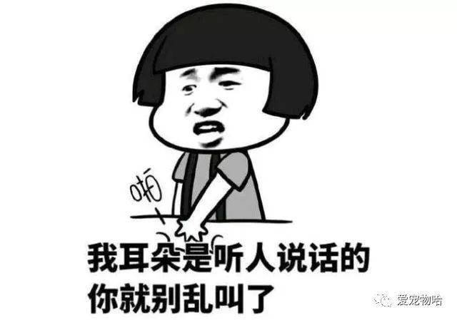 最新枕邊笑話，科技小寶貝，生活添樂趣