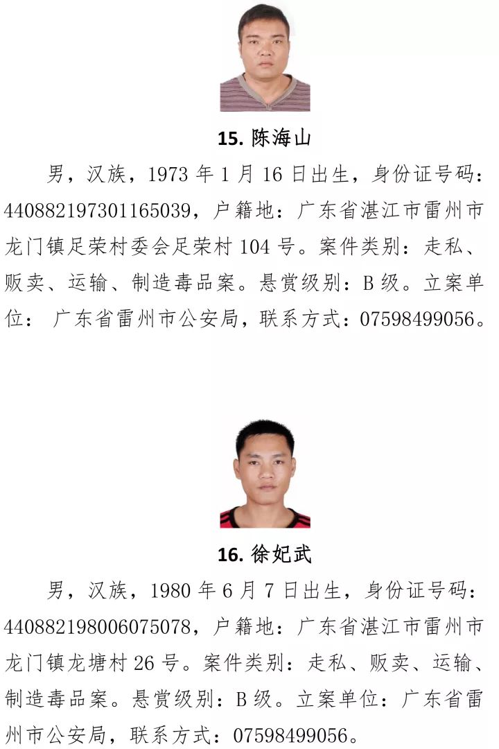 最新湛江人，掌握新技能與任務(wù)完成步驟指南