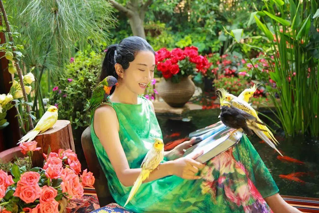 昆明最新舞蹈，文化現(xiàn)象的深度探討