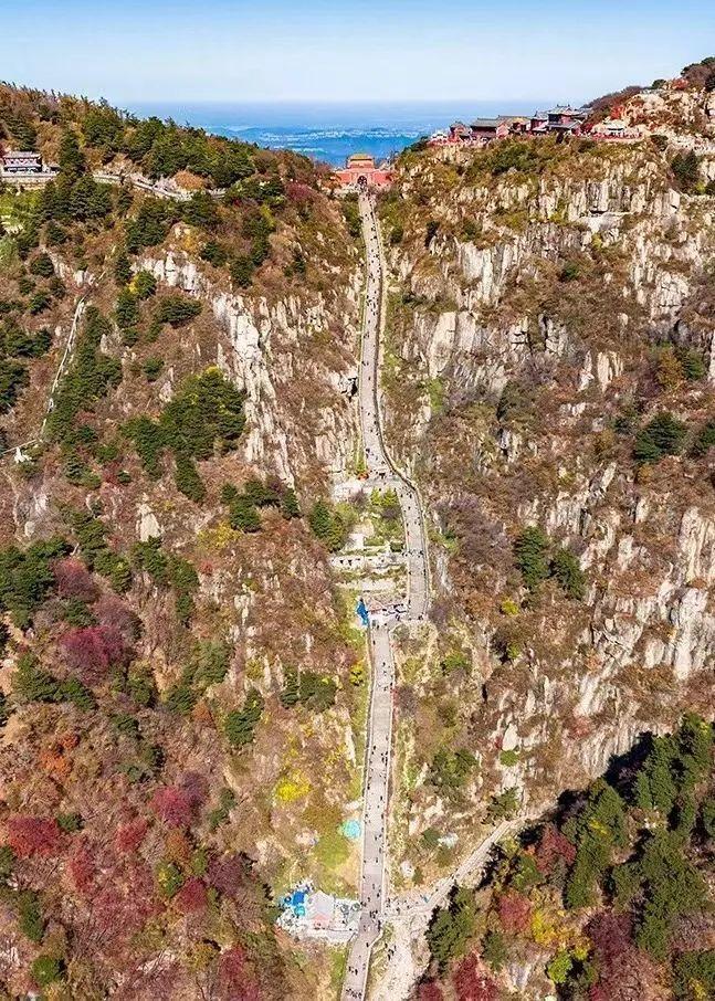 泰山最新聞，觀點(diǎn)與立場(chǎng)的深度探討