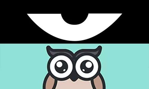 最新積目，全面解讀與觀點(diǎn)闡述