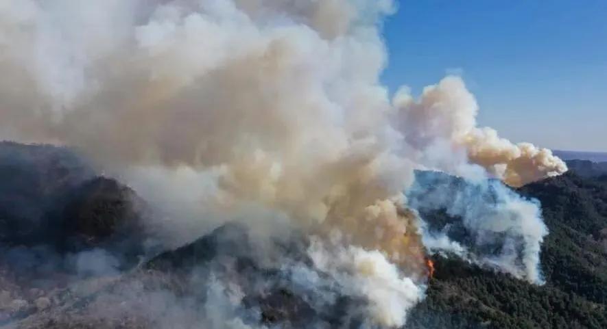 榆社山火防控指南，從初學(xué)者到進(jìn)階用戶的全步驟學(xué)習(xí)與防火任務(wù)實(shí)踐