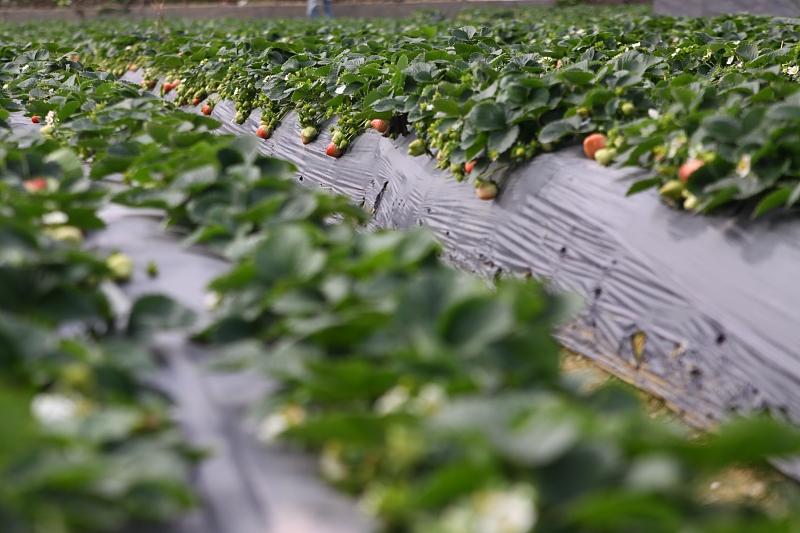 湖北最新封鎖，科技智能重塑防線，守護生活安全