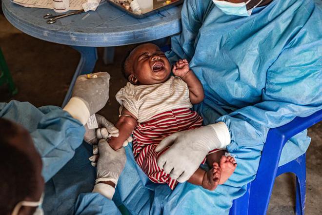 本土感染最新情況，自然美景中的探索之旅