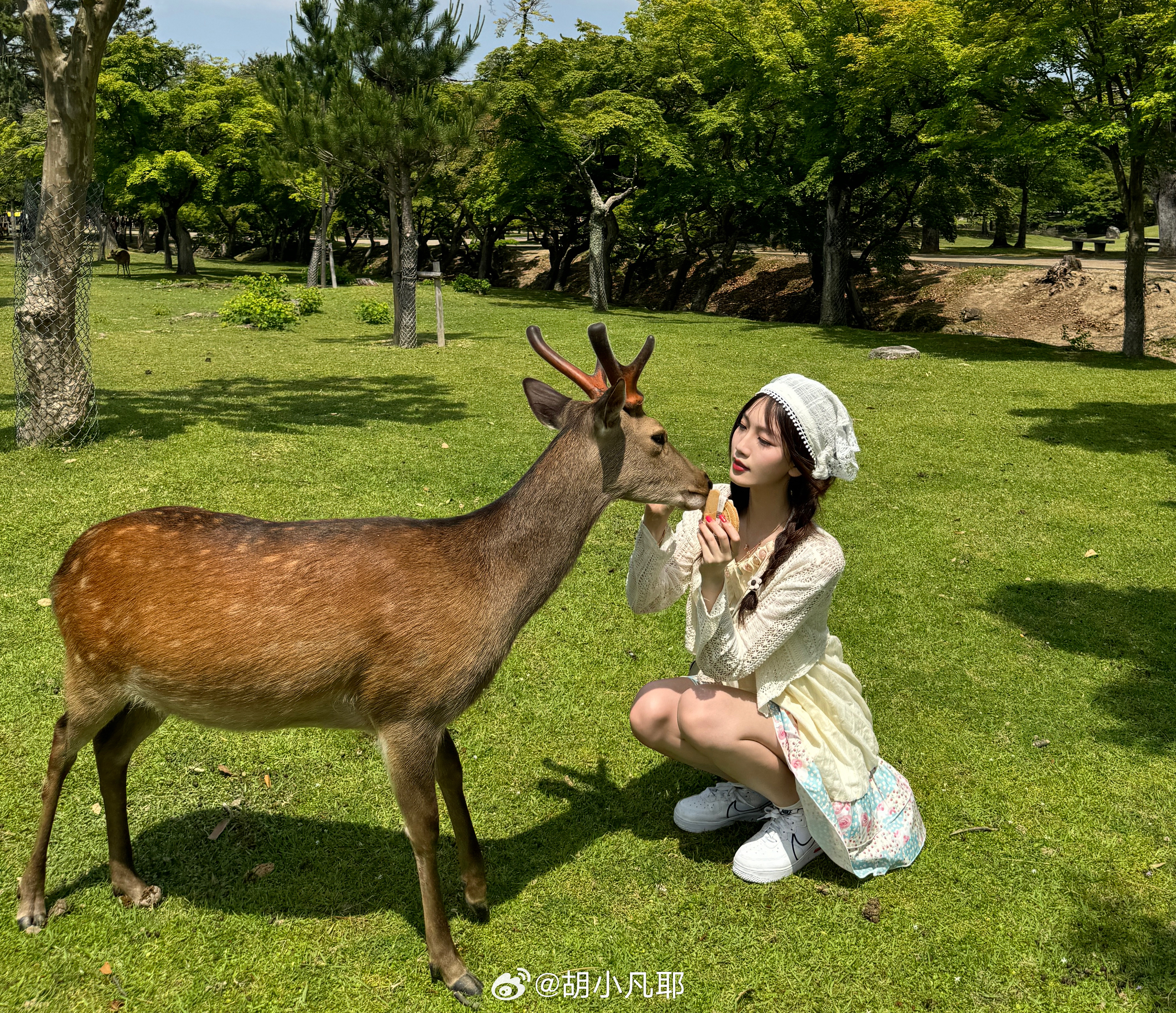 小鹿鹿最新，自然美景的探索之旅