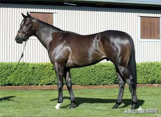 卡拉卡最新指南，任務完成與技能學習步驟攻略