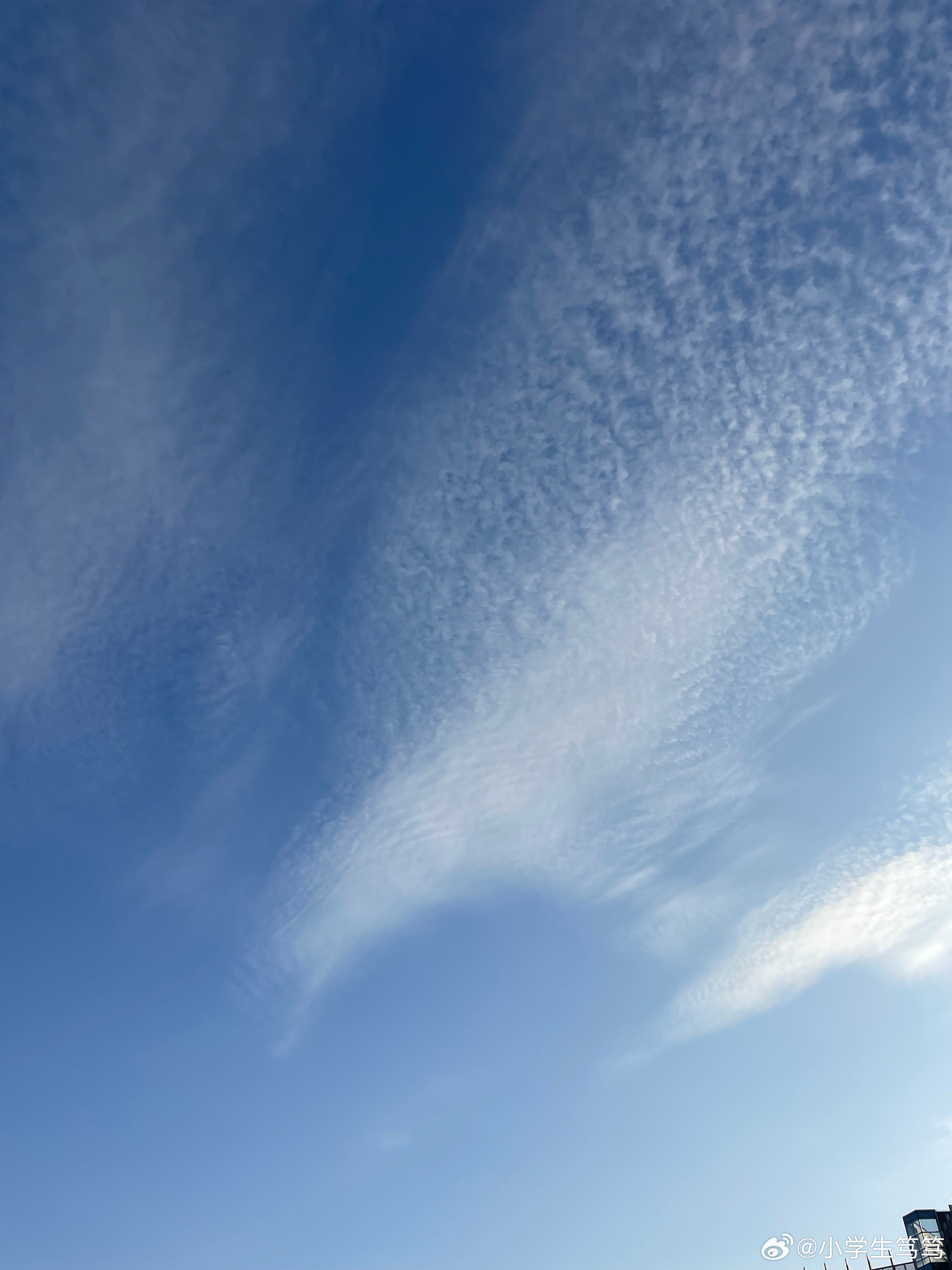 云飄飄最新，小巷深處的獨(dú)特風(fēng)味美食體驗(yàn)