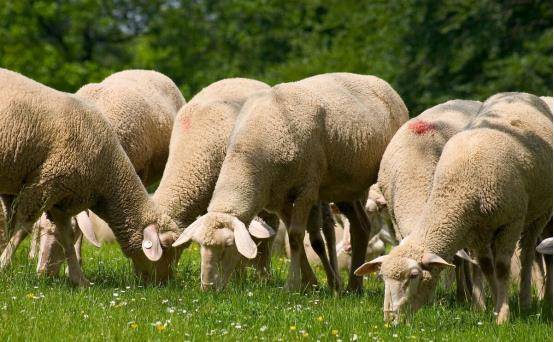 工程廠房燈具 第76頁