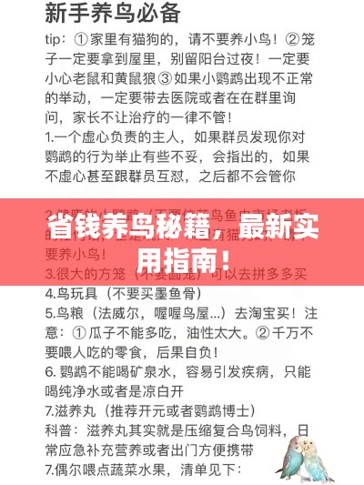 最新養(yǎng)鳥(niǎo)法規(guī)解析，觀點(diǎn)闡述與深度探討