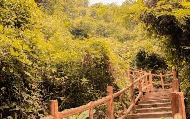 運(yùn)動(dòng)場(chǎng)館燈具 第68頁