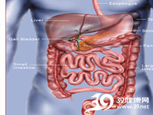 高科技產(chǎn)品重塑生活，體驗(yàn)前沿魅力，探索腸鳴最新技術(shù)