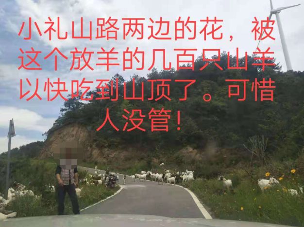 大悟最新路，探索未知，自信成就夢想之旅的啟程