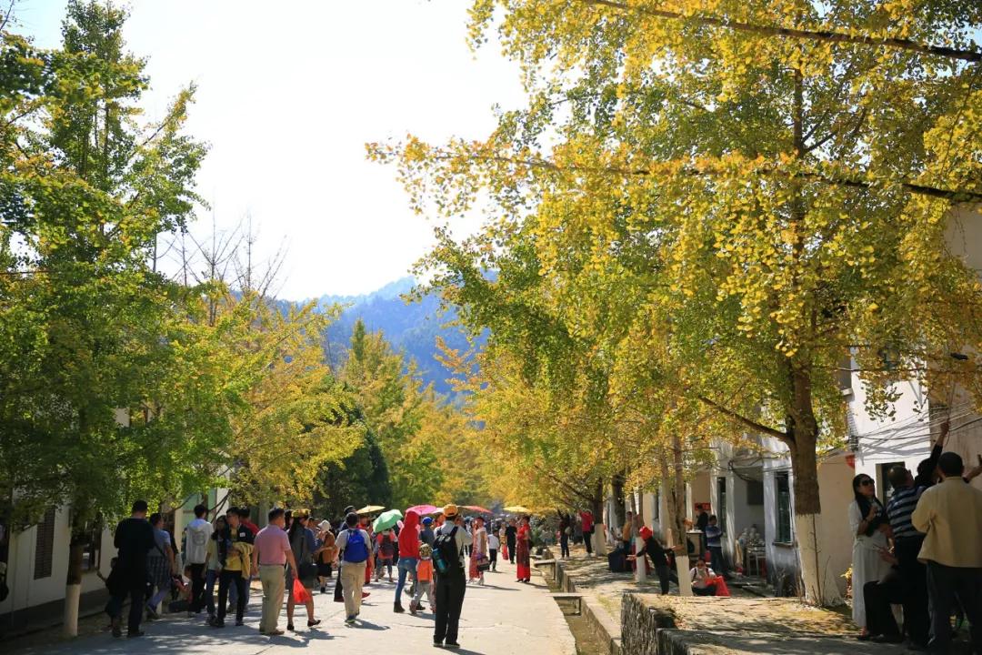 南雄最新現(xiàn)狀，科技前沿產(chǎn)品引領(lǐng)未來生活發(fā)展