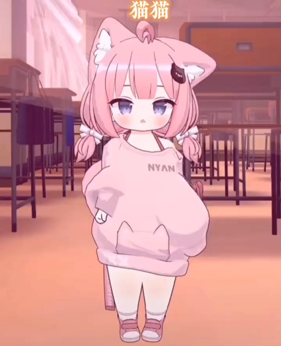 貓妹妹最新動態(tài)，萌態(tài)盡顯，溫暖你的心??