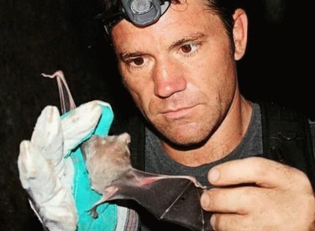 蝙蝠最新電影，自信與成長(zhǎng)的翅膀，勵(lì)志翱翔天空之旅