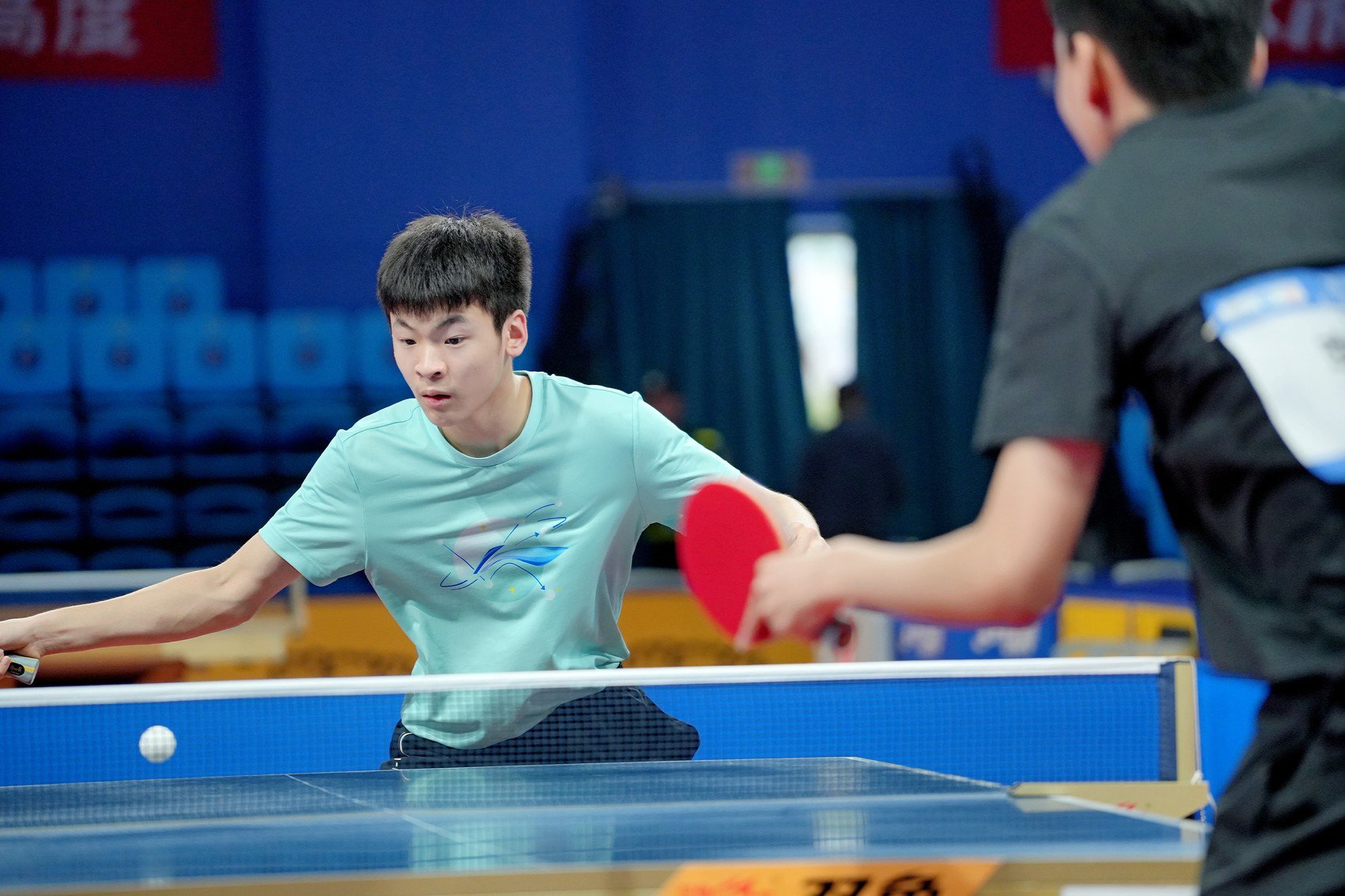 乒乓比賽最新動(dòng)態(tài)與成長(zhǎng)指南，一步步成為乒乓高手之路