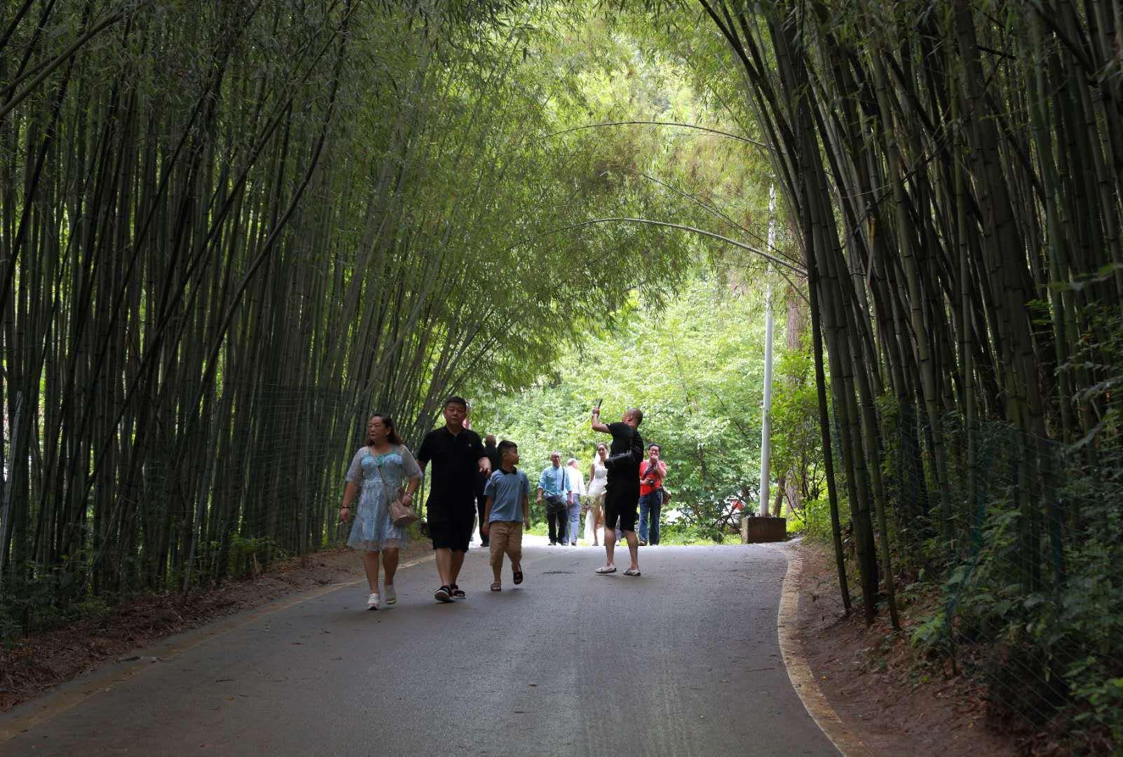 全家最新優(yōu)惠攻略，一步步教你享受最大優(yōu)惠折扣！