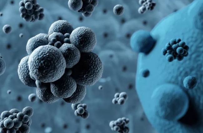 病毒擴散最新情況，自然探險之旅尋求內心平和之地