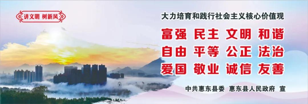 惠州肺炎最新動態(tài)，小巷深處的獨特小店背后的故事