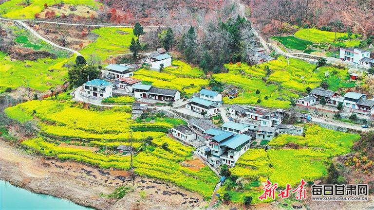 揭秘文縣，歷史背景、重大事件與時代地位全景展示