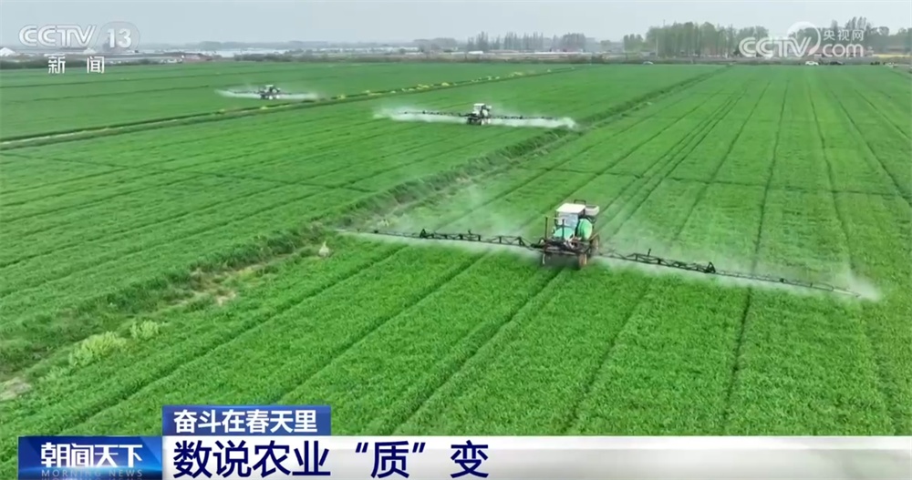 最新農(nóng)業(yè)農(nóng)村發(fā)展，播種希望，收獲自信與成就感