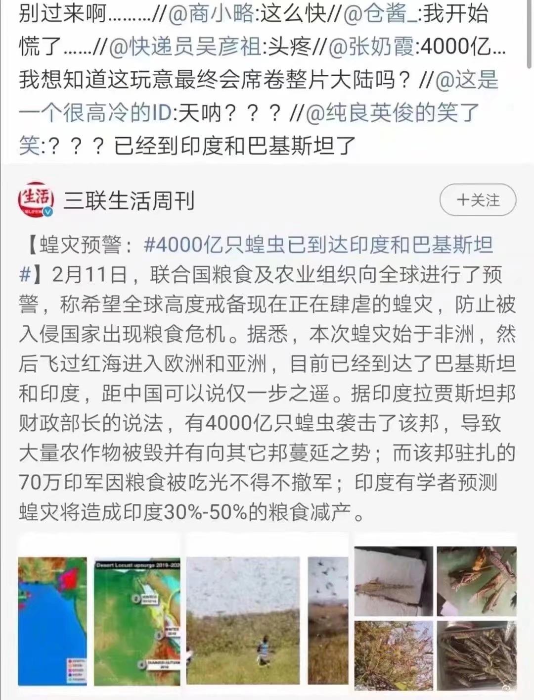 蝗蟲最新動(dòng)態(tài)，防治與監(jiān)測的全面指南