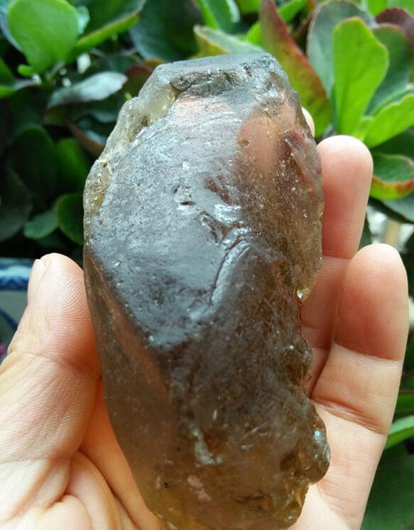 最新鑒定法，揭示友情的印記與家的溫馨