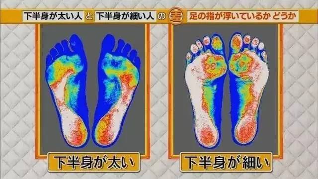 最新地趾論述，探索、爭議與觀點綜述
