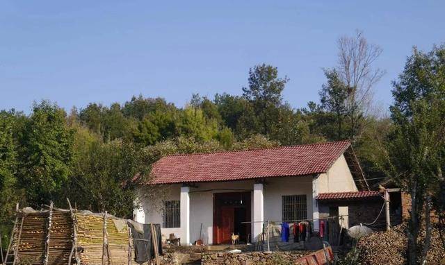 新時(shí)代田園生活揭秘，鄉(xiāng)村農(nóng)村的最新風(fēng)貌與體驗(yàn)