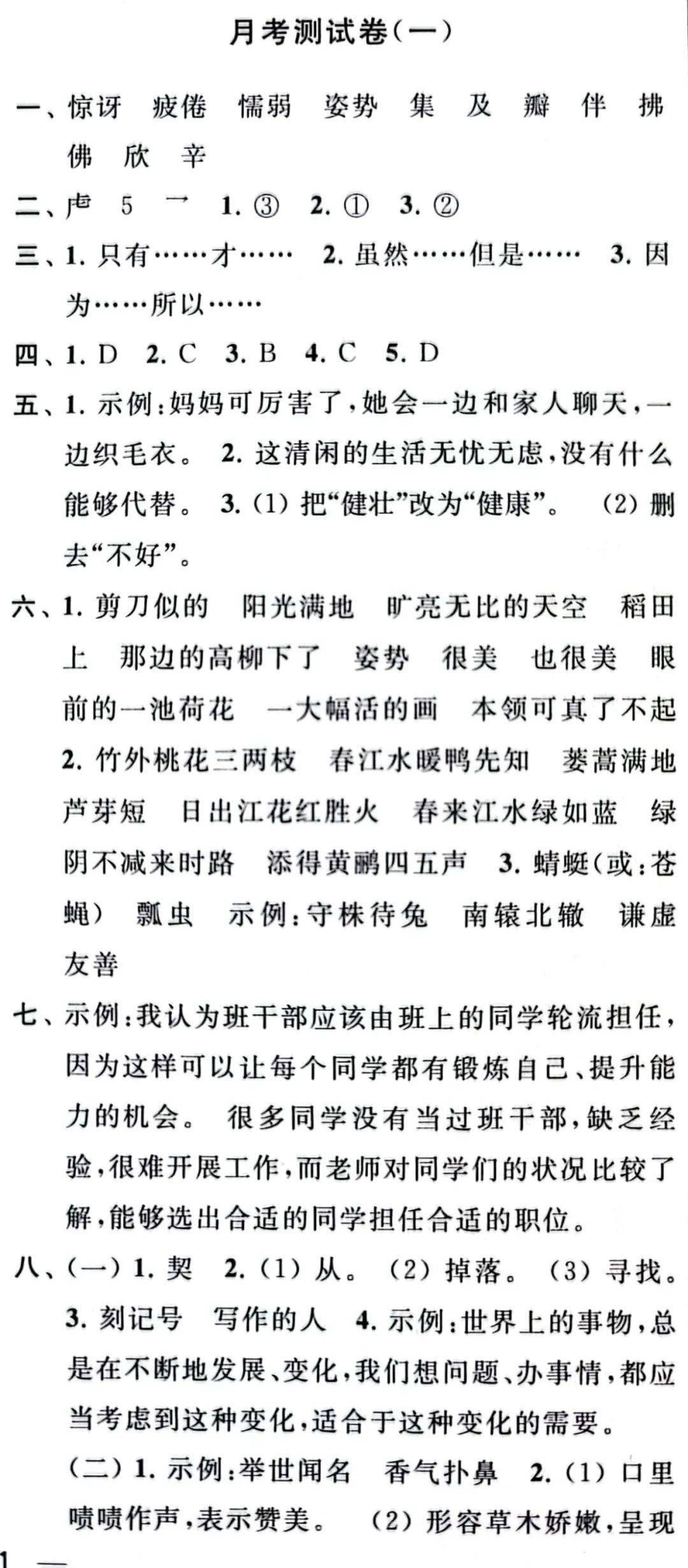 最新月考與大自然療愈之旅，尋找內心平靜的奇妙探險