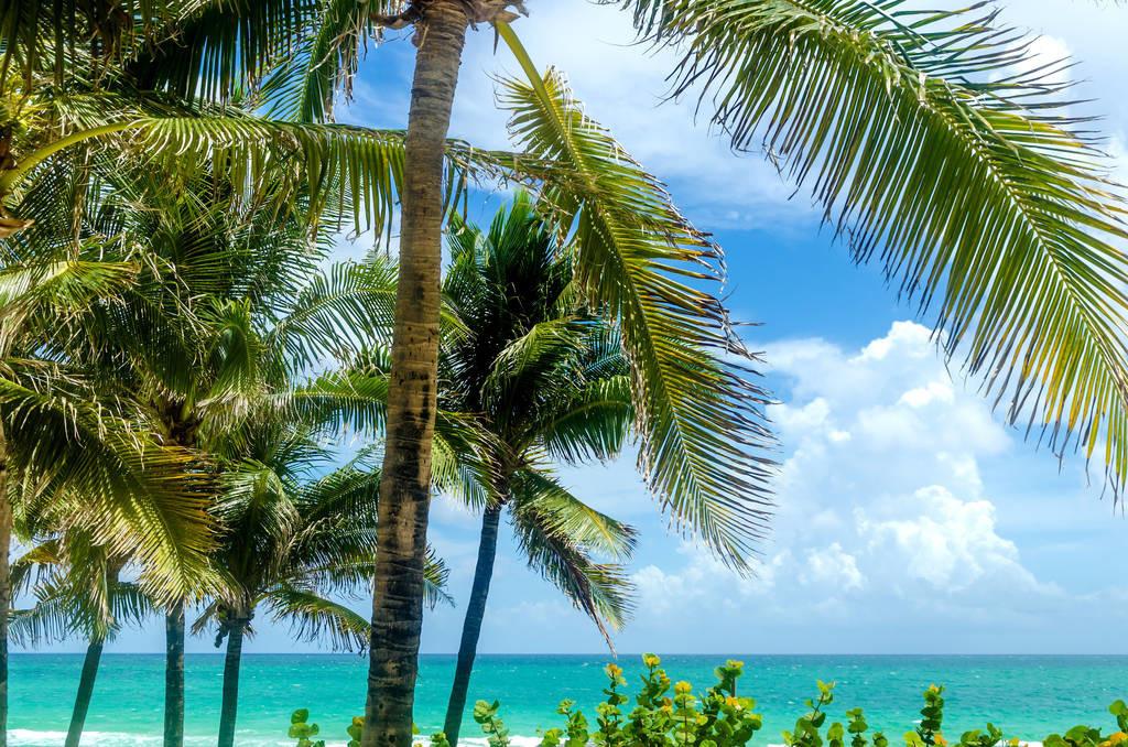 科技重塑旅行體驗(yàn)，最新付費(fèi)機(jī)場(chǎng)概覽