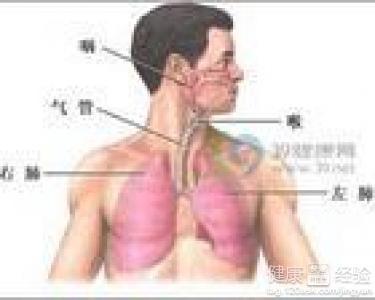 咸豐肺炎最新全面指南與詳解，癥狀、治療、步驟解析