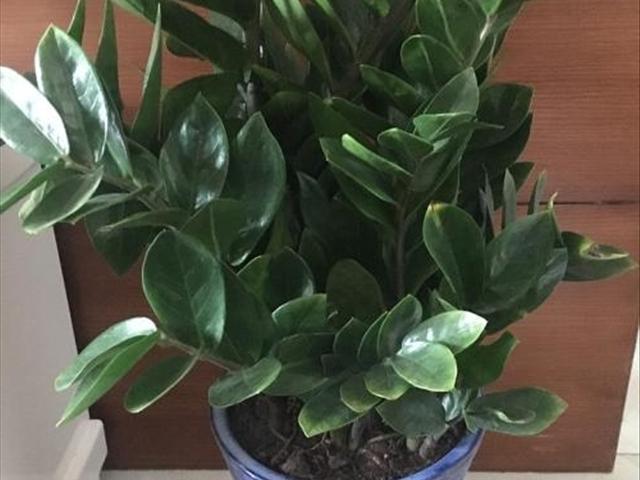 工程廠房燈具 第59頁