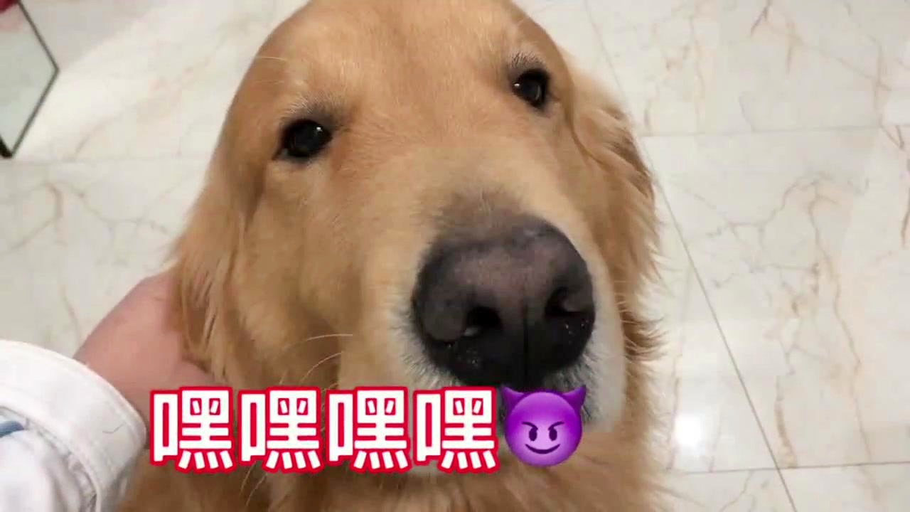 工程廠房燈具 第58頁(yè)