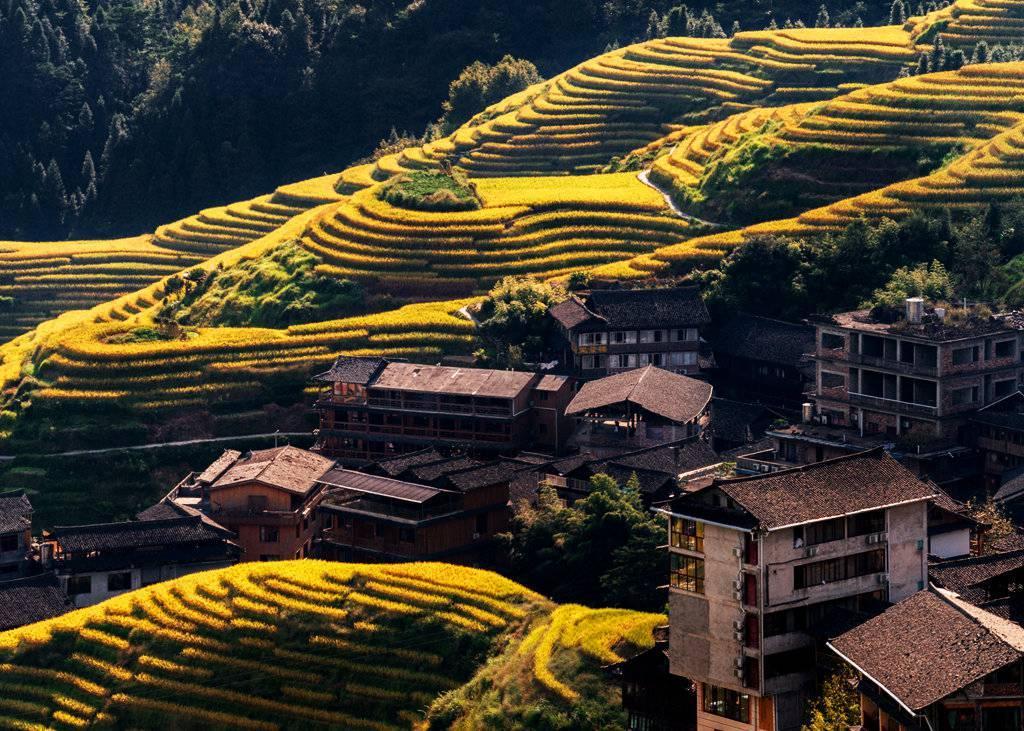 金秋天最新時尚潮流，獨(dú)特風(fēng)情展現(xiàn)魅力風(fēng)采