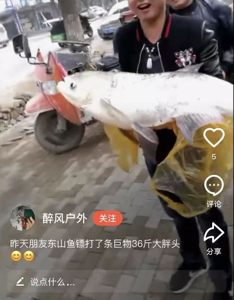 射魚神器進化升級，學(xué)習(xí)變革與自信成就之源