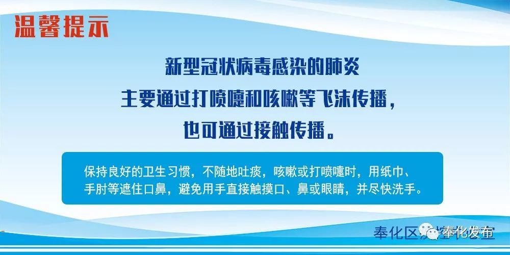 余姚最新確診背后的自然探索之旅，重拾心靈寧靜與平和