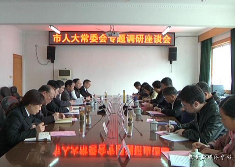 安徽歙縣最新動(dòng)態(tài)，小巷深處的驚喜